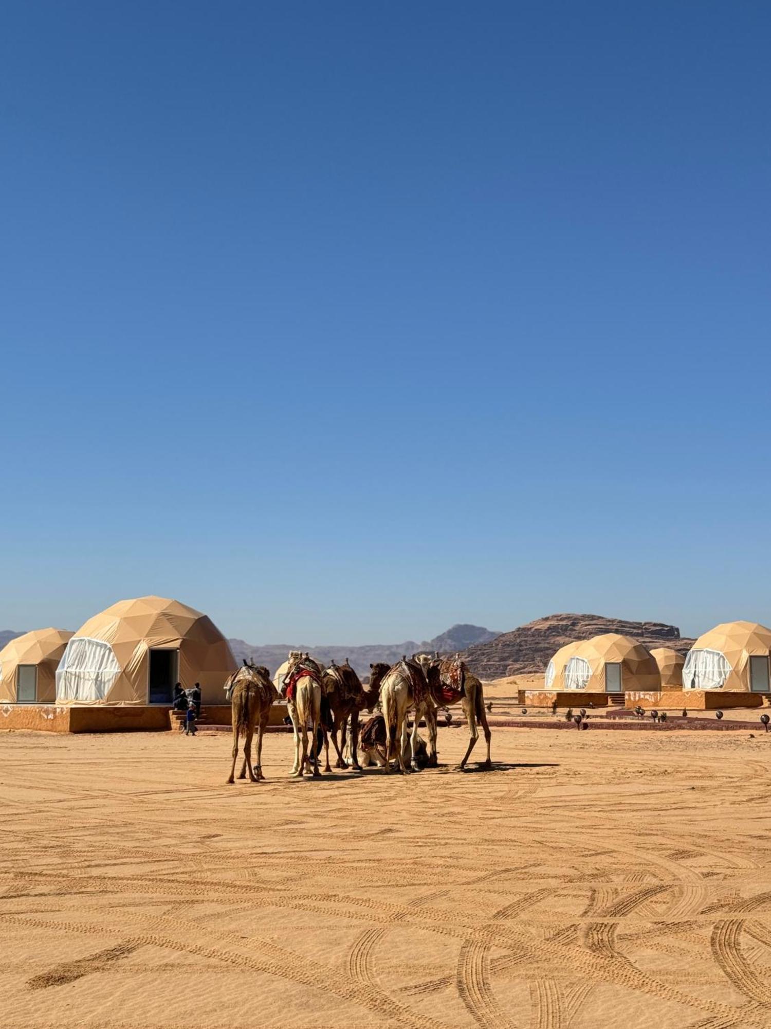 Wadi Rum Anwar Luxury Camp Bagian luar foto
